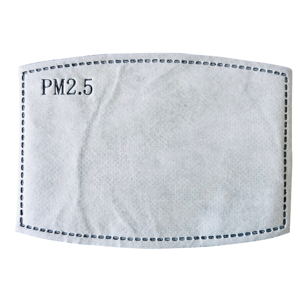 Six Layered PM 2.5 Insert for Face Masks with Pockets: Set of 10