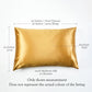 Burgundy Pure Mulberry Silk Pillowcase | Standard, Queen & King | 22 Momme | Float Collection